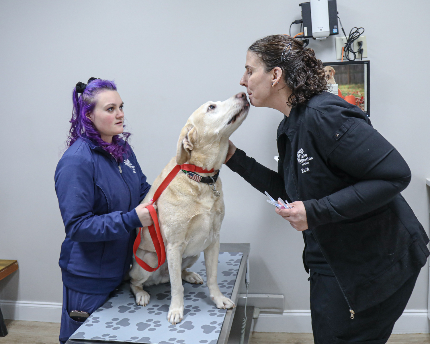 Lake Station Veterinary Careers