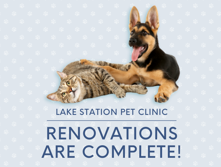 lake station pet clinic phone number